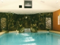 Custom Desined Pool House